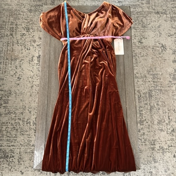 Revelry Maternity Gwen Velvet Dress Rust - Picture 11 of 11